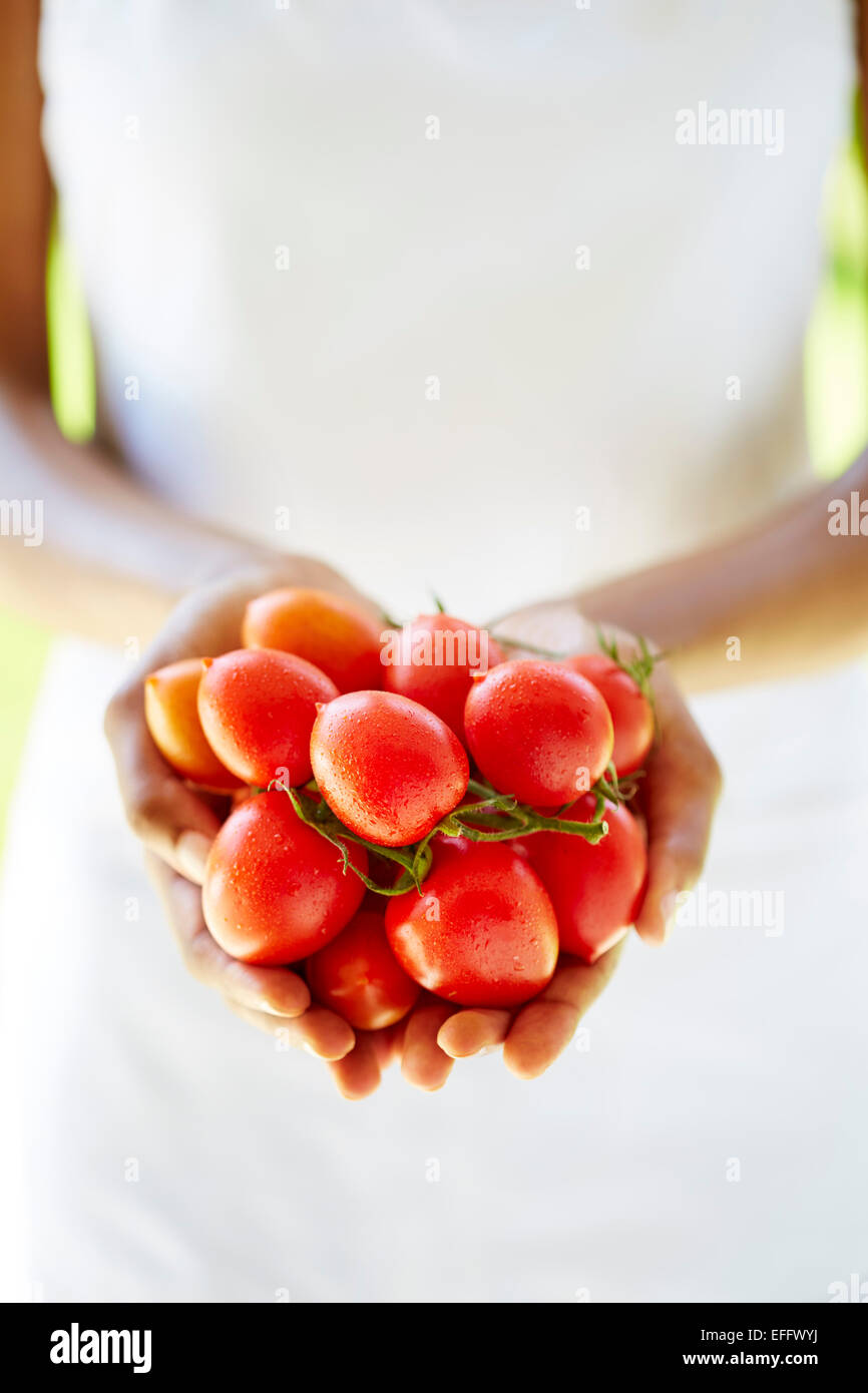 Woman's hands holding tomatoes Stock Photo - Alamy