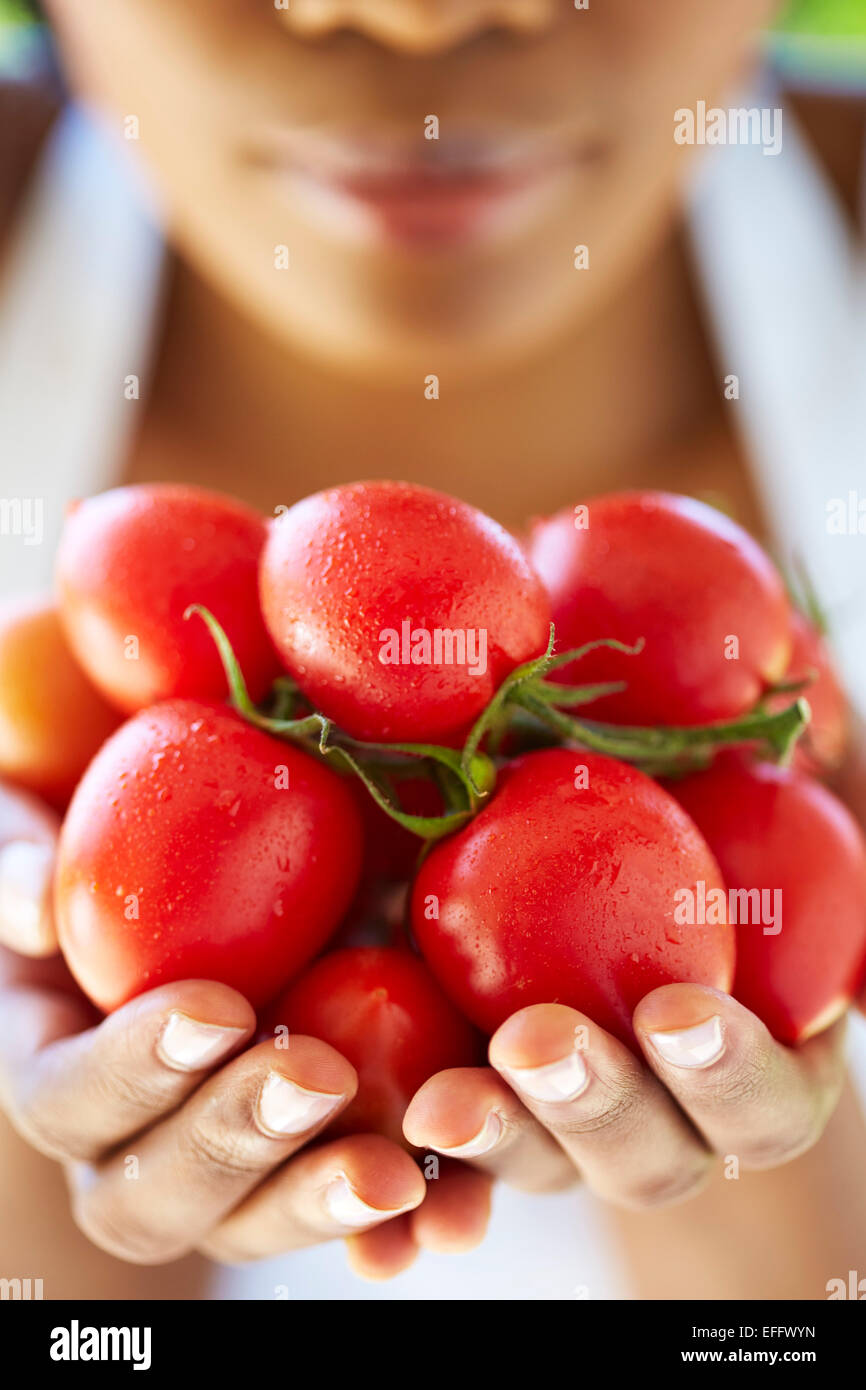 Woman's hands holding tomatoes Stock Photo - Alamy