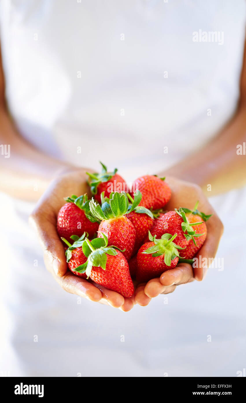 Woman's hands holding strawberries Stock Photo - Alamy