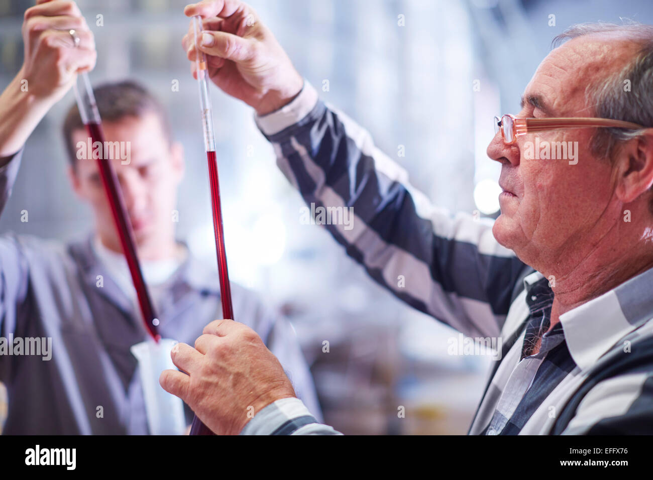 Wine makers examining wine blend Stock Photo