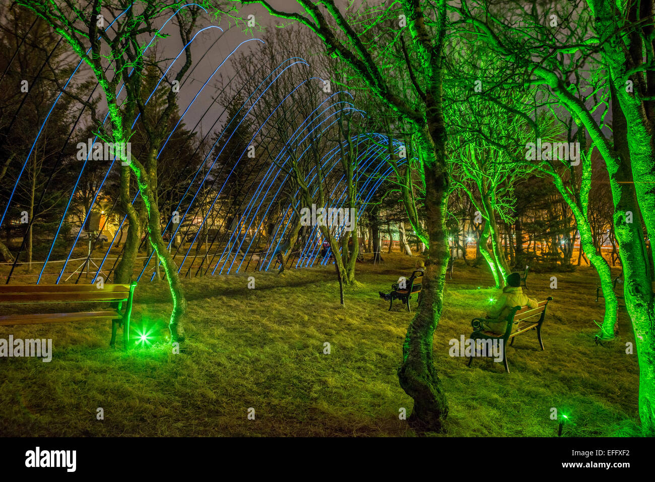 Trees with green lights, Winter lights festival, Reykjavik, Iceland Stock Photo