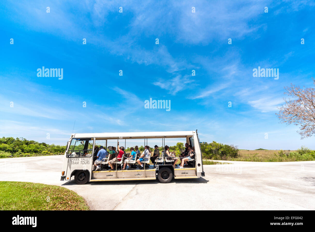 Shark Valley Everglades Visitors Tour Tram Everglades National Park Florida US Stock Photo