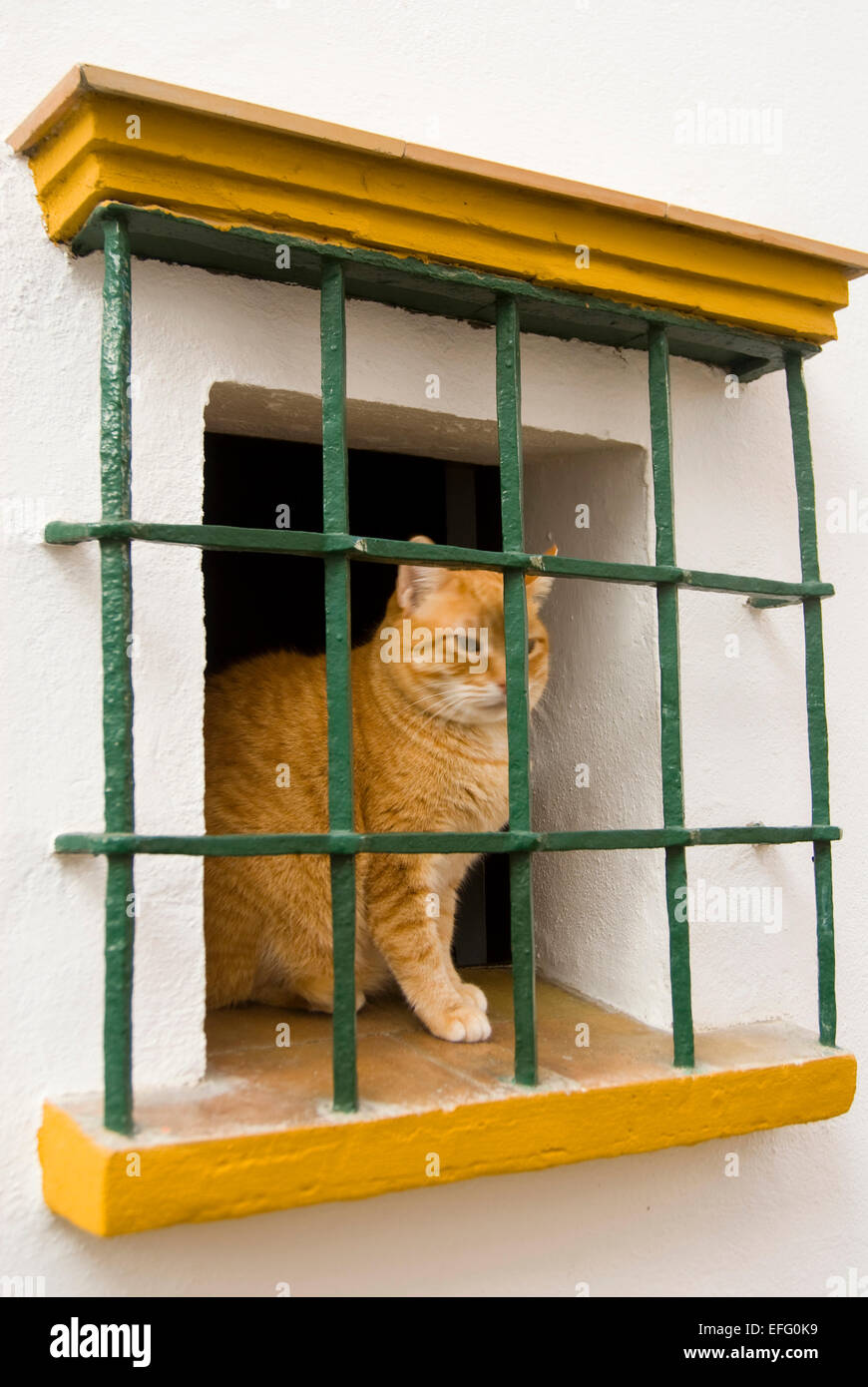 Cat Seville Spain Stock Photos & Cat Seville Spain Stock Images Alamy