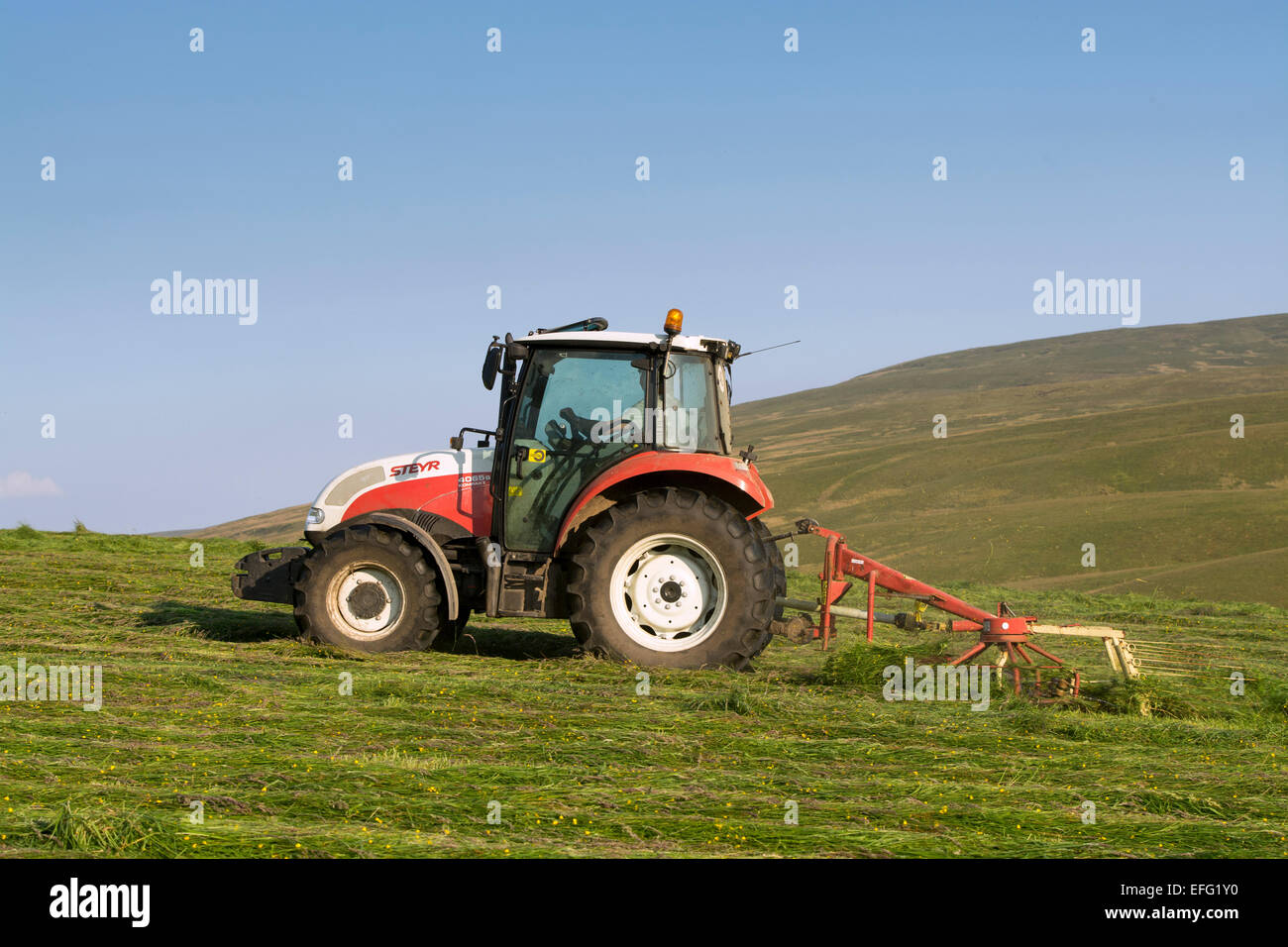 Hill farmer spreading grass in hay meadow, with Steyr tractor, to