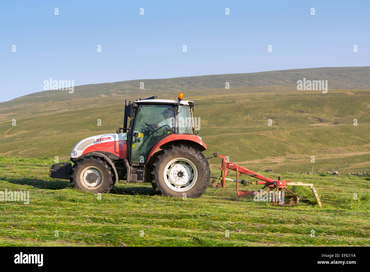 Hill farmer spreading grass in hay meadow, with Steyr tractor, to
