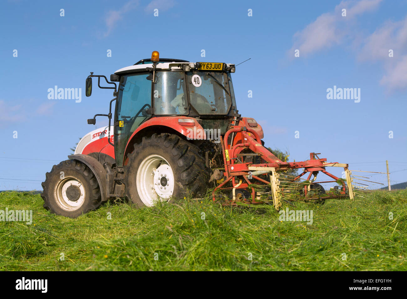 Hill farmer spreading grass in hay meadow, with Steyr tractor, to