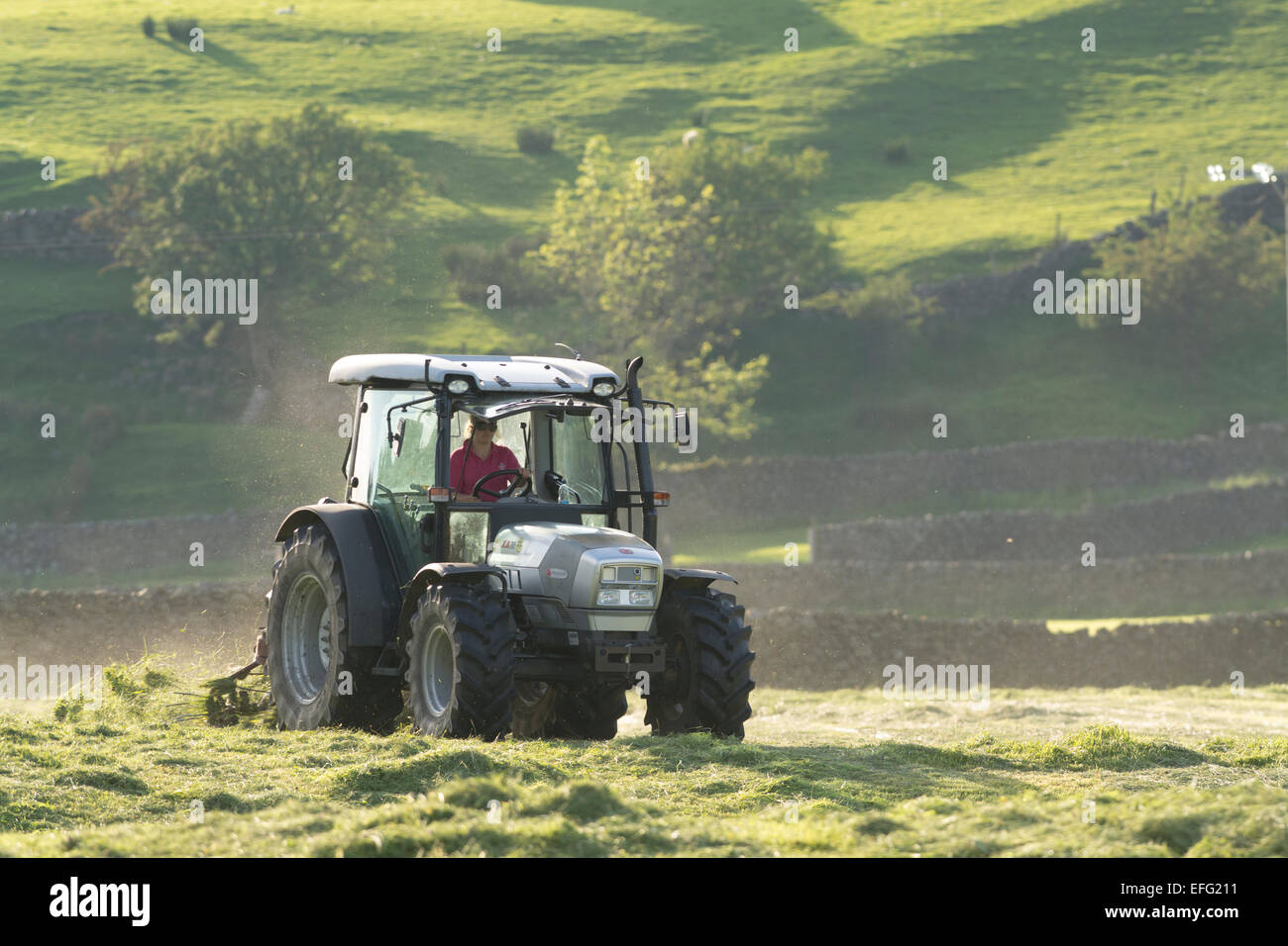 Turning grass in a traditional hay meadow, with a Hurlimann tractor and