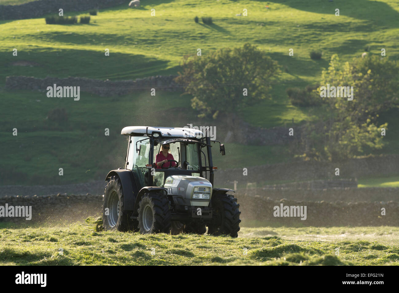 Turning grass in a traditional hay meadow, with a Hurlimann tractor and