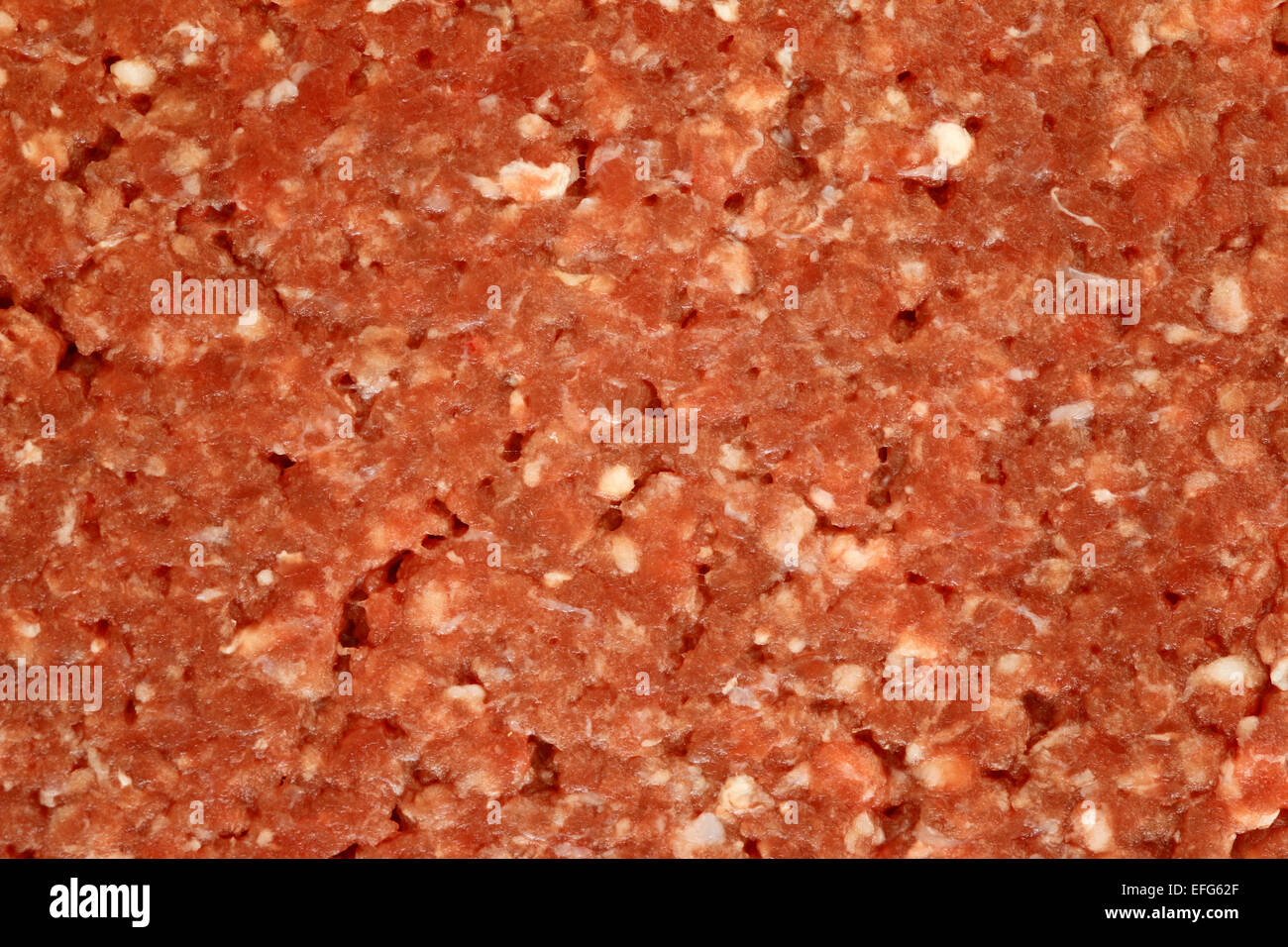 minced beef meat ground beef Stock Photo Alamy