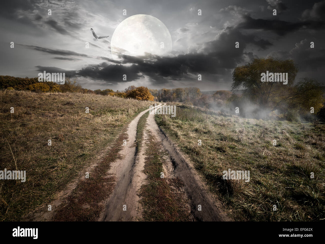 Country road under round moon at the night. Elements of this image furnished by NASA Stock Photo
