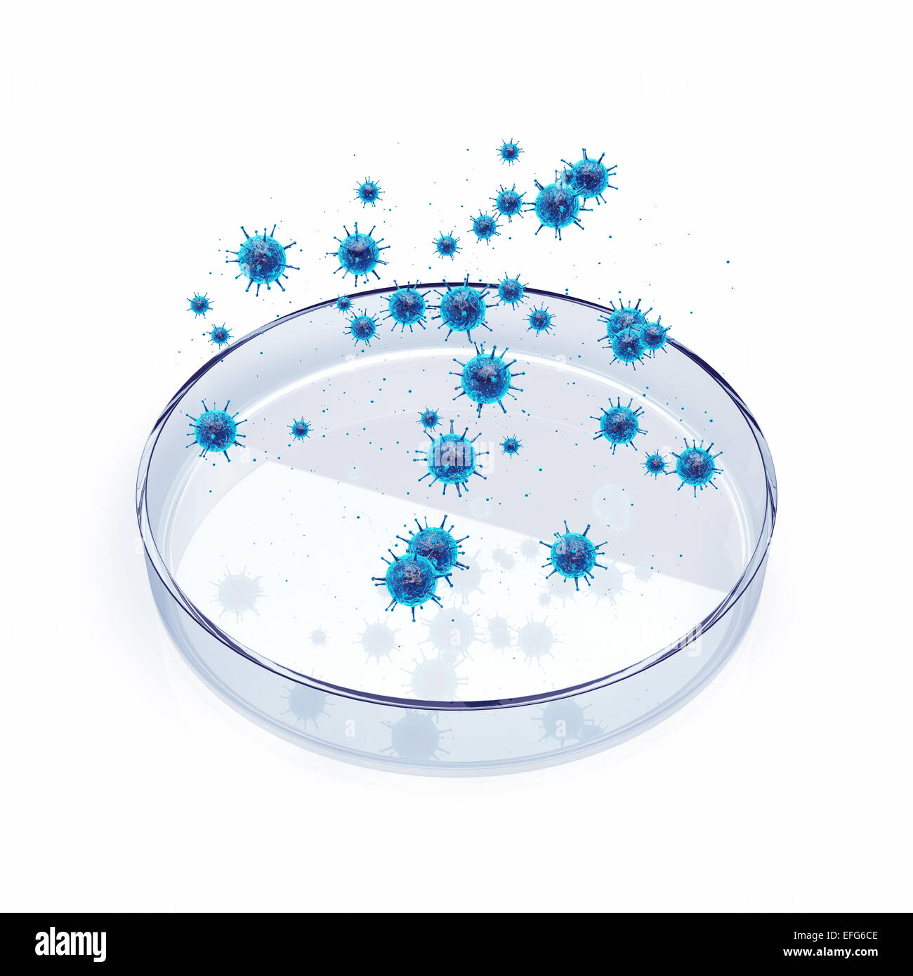 Viruses over petri dish on white background , Viral disease epidemic , Pandemic research Stock Photo