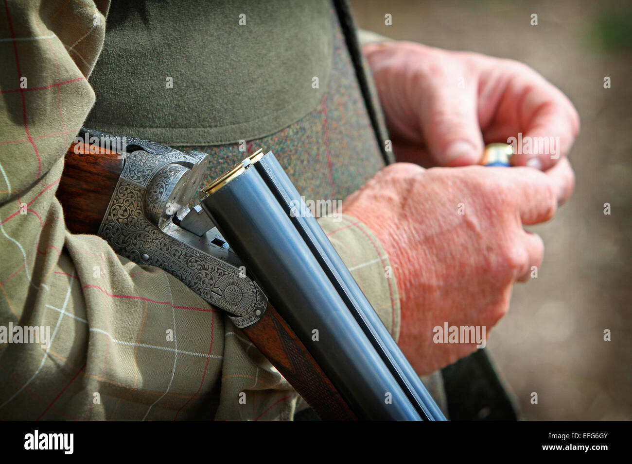 Man game shooting with cradled shotgun and gun cartridges, cropped