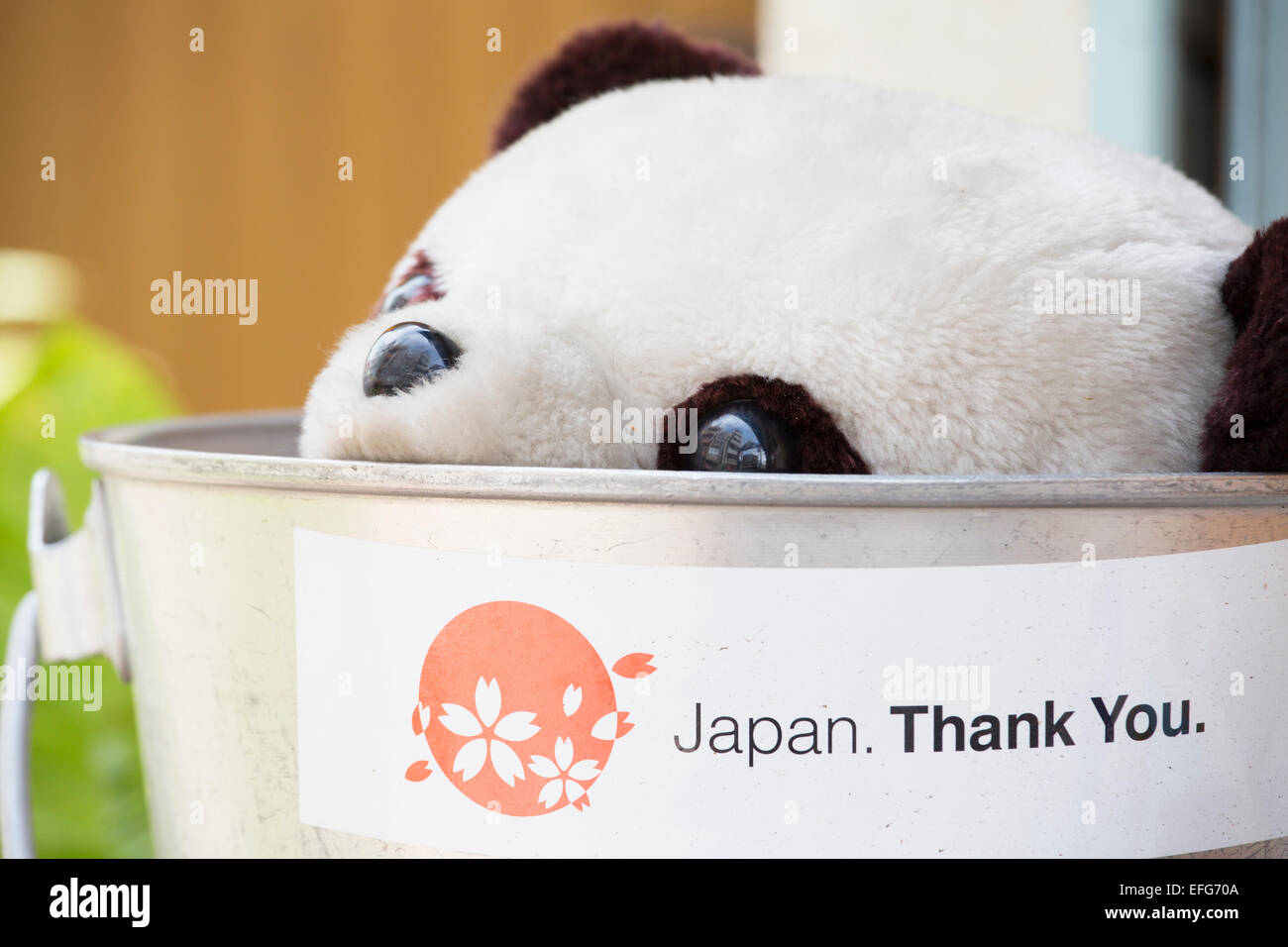 Panda cuddly toy peeping out of bucket, Tokyo, Japan Stock Photo