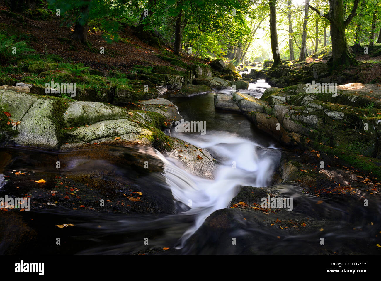 Cloghleagh River waterfall summer rural scene scenic irish sidelit sidelighting County Wicklow RM Ireland Stock Photo