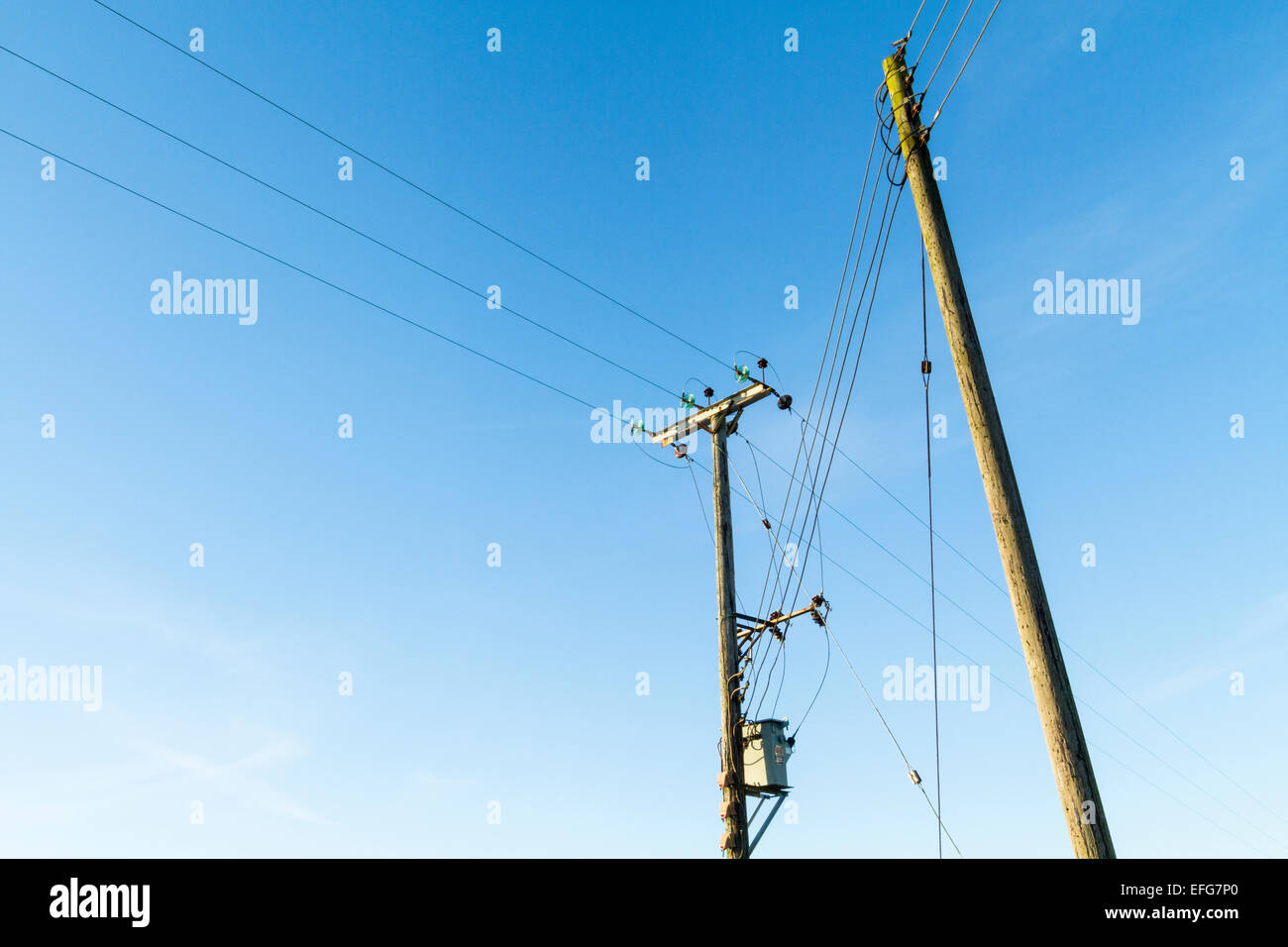 Overhead electricity power lines supported by wooden utility poles, Nottinghamshire, England, UK Stock Photo