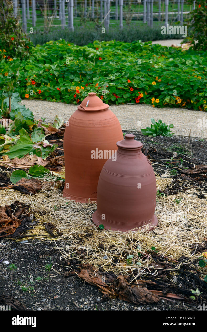 terracotta rhubarb bell cloche cloches protect protection force forced forcing victorian garden gardening RM Floral Stock Photo