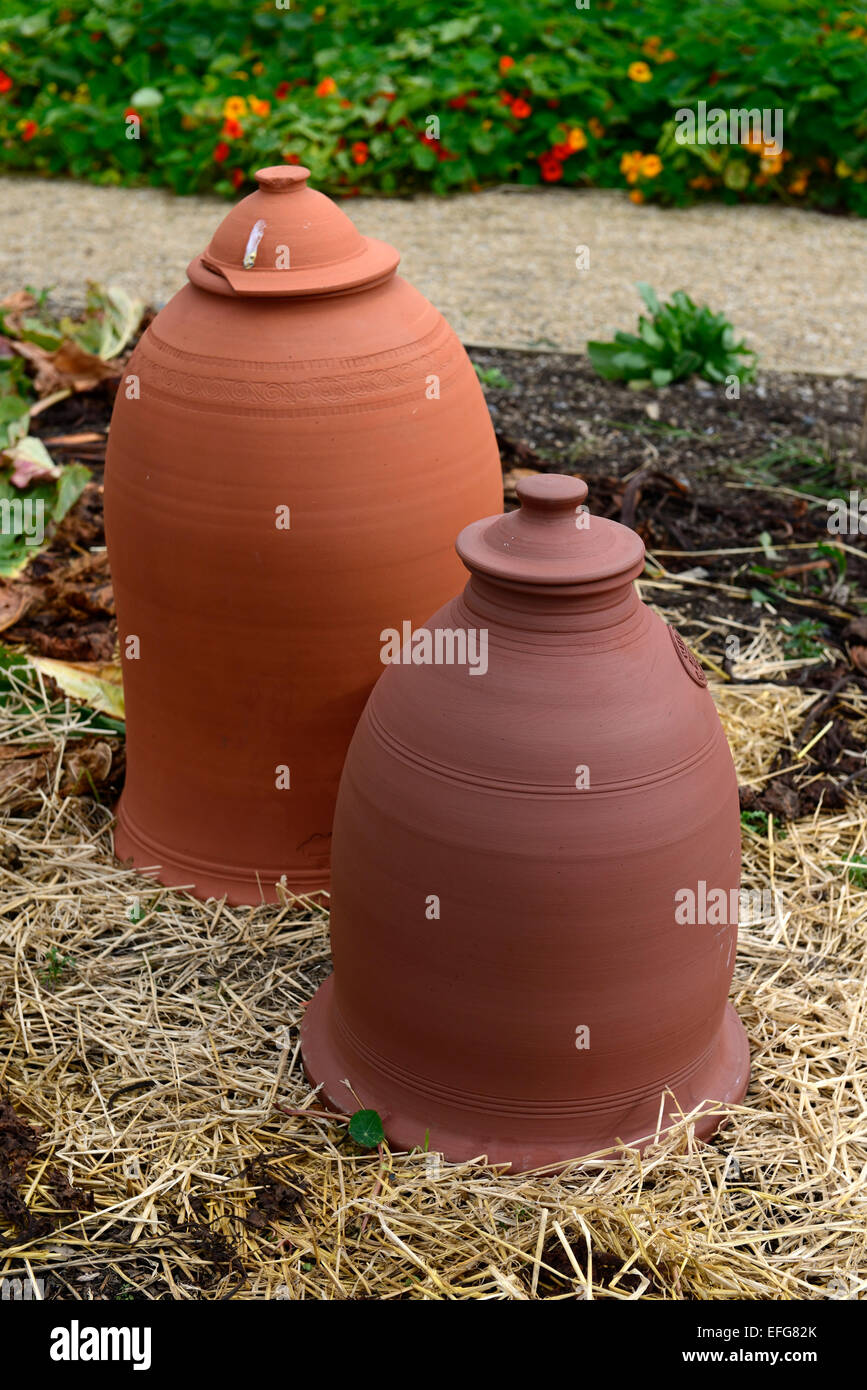 terracotta rhubarb bell cloche cloches protect protection force forced forcing victorian garden gardening RM Floral Stock Photo