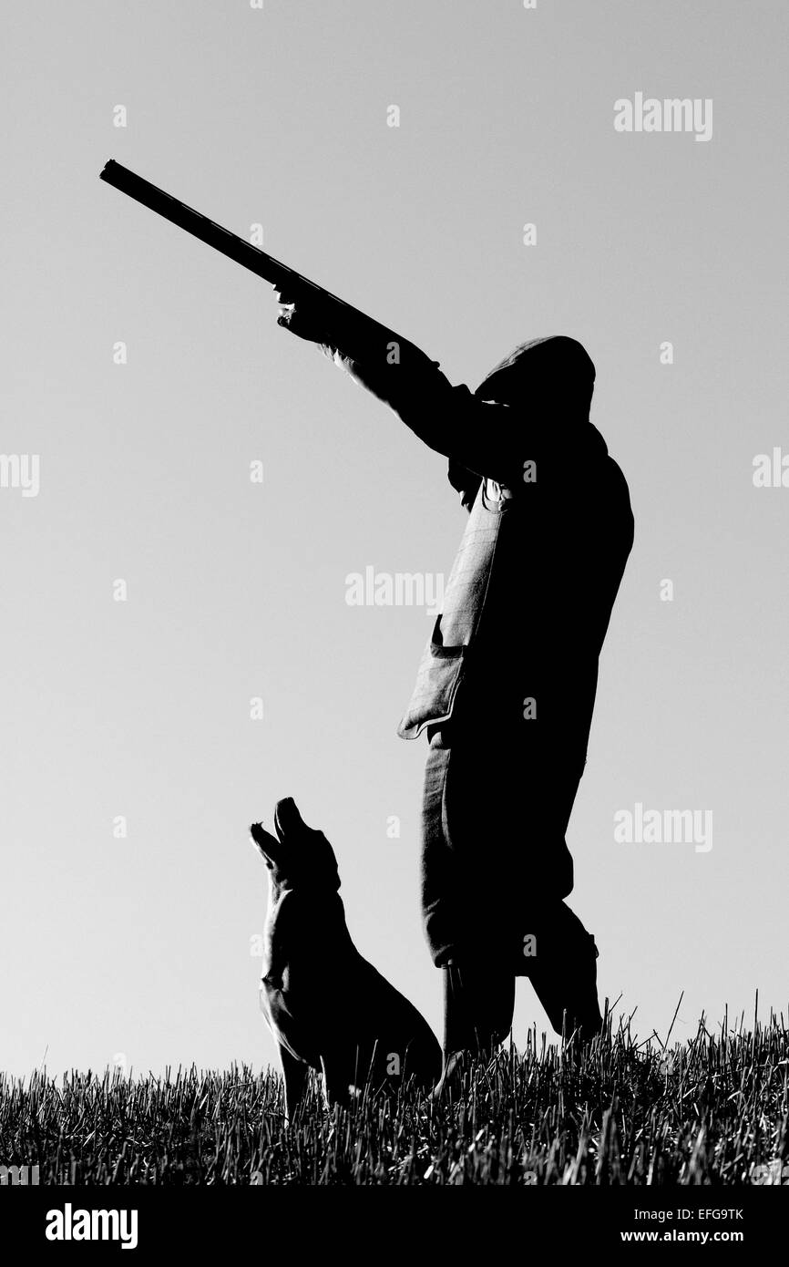 Gamekeeper game shooting with gun dog in field, black & white  silhouette Stock Photo
