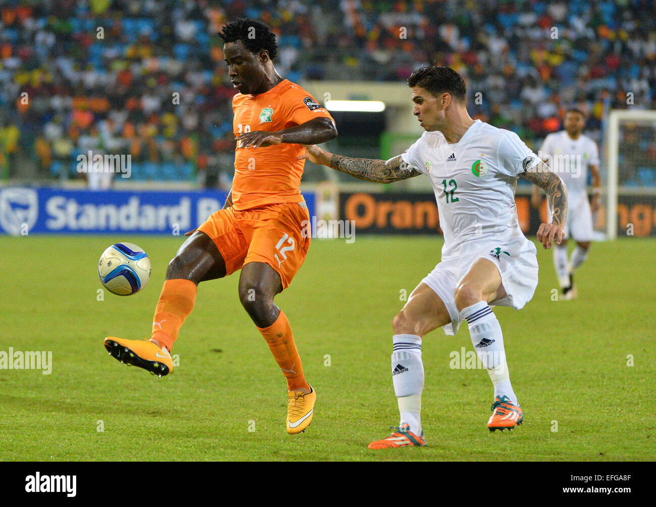 Equitorial Guinea. 01st Feb, 2015. African Cup of Nationsl football tournament. Quarterfinal match between Ivory Coast versus Algeria. Wilfried Guemiand Bony (CIV) and Carl Medjani (ALG) Credit:  Action Plus Sports/Alamy Live News Stock Photo