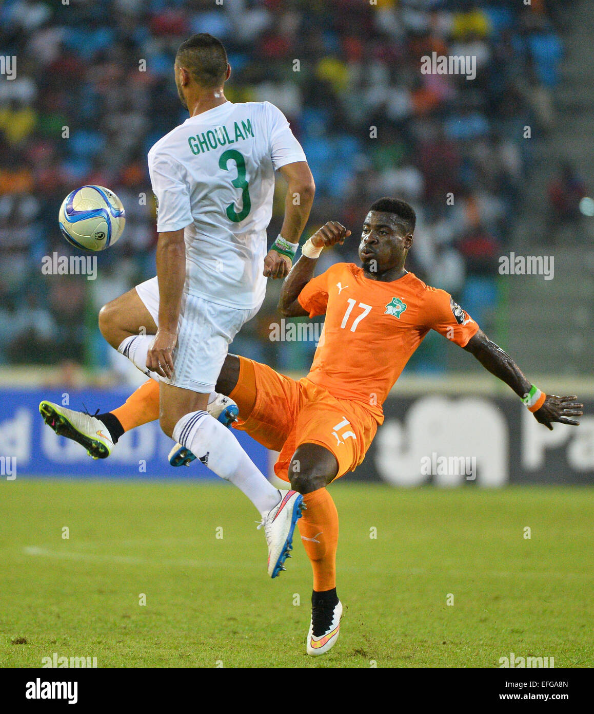 Equitorial Guinea. 01st Feb, 2015. African Cup of Nationsl football tournament. Quarterfinal match between Ivory Coast versus Algeria. Serge Alain Stephane Aurier (CIV)and Faouzi Ghoulam (ALG) Credit:  Action Plus Sports/Alamy Live News Stock Photo
