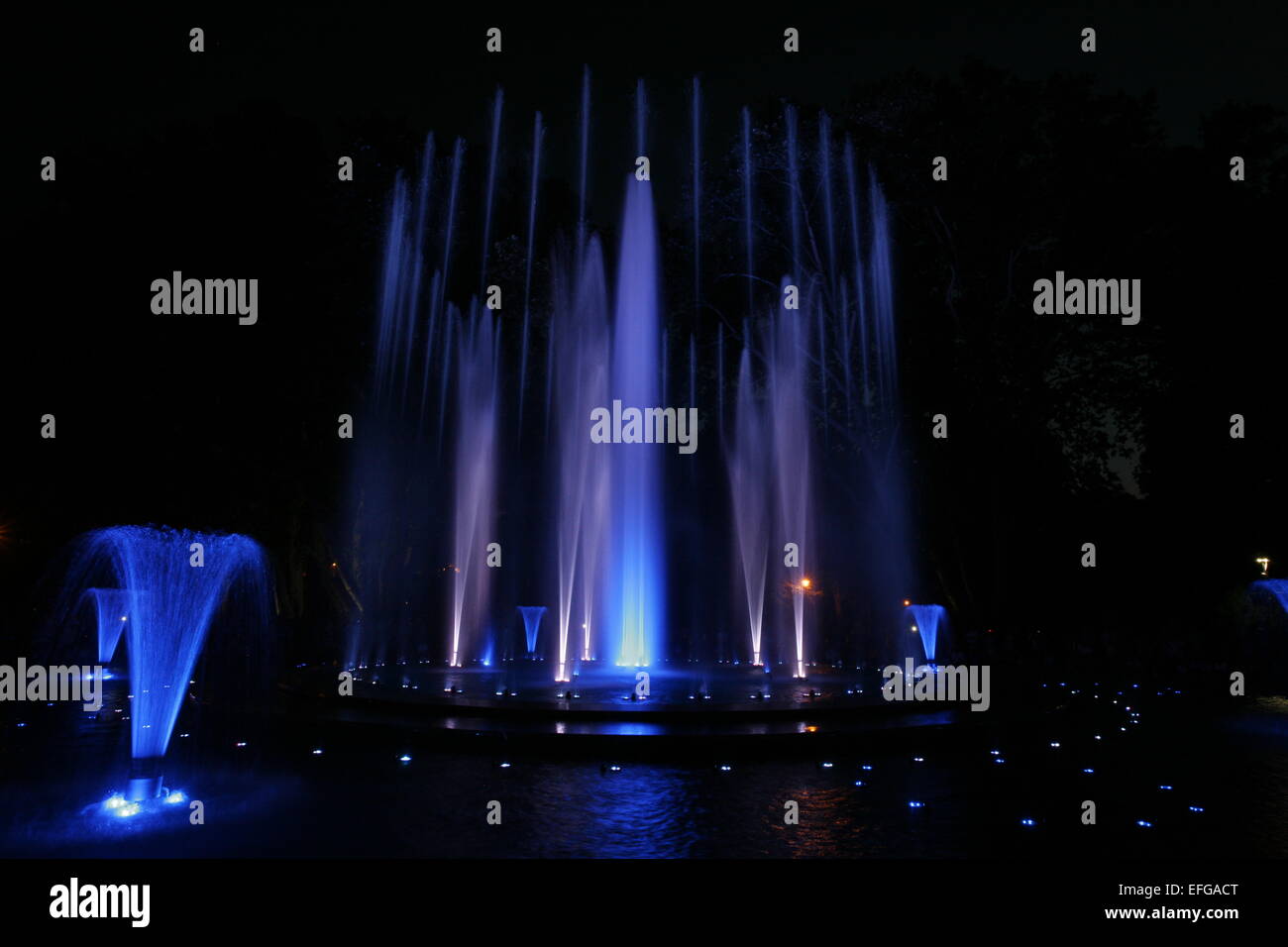 Magical fountain in Margaret Island Budapest by night . Multimedia colorful musical and light