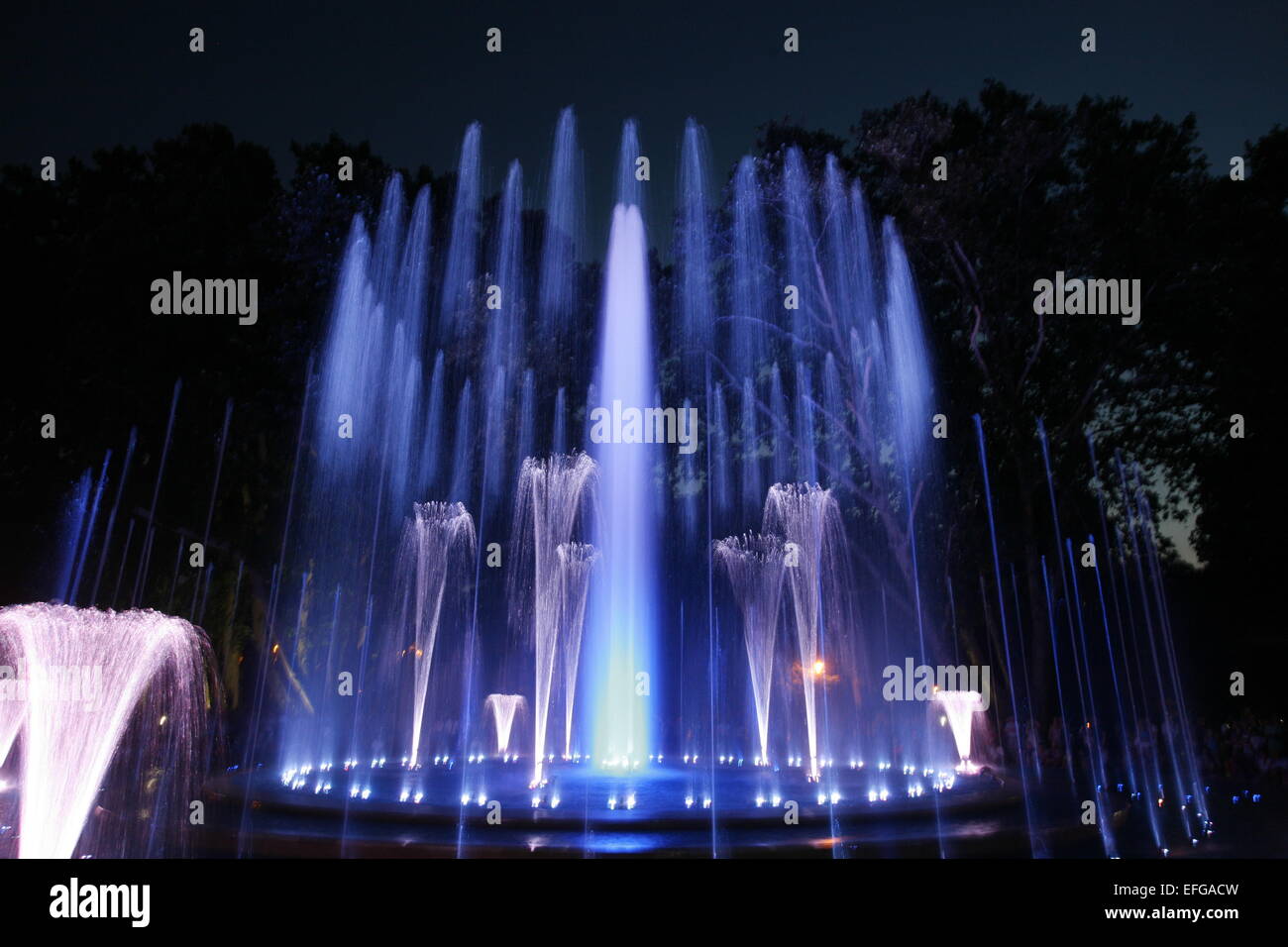 Magical fountain in Margaret Island Budapest by night . Multimedia
