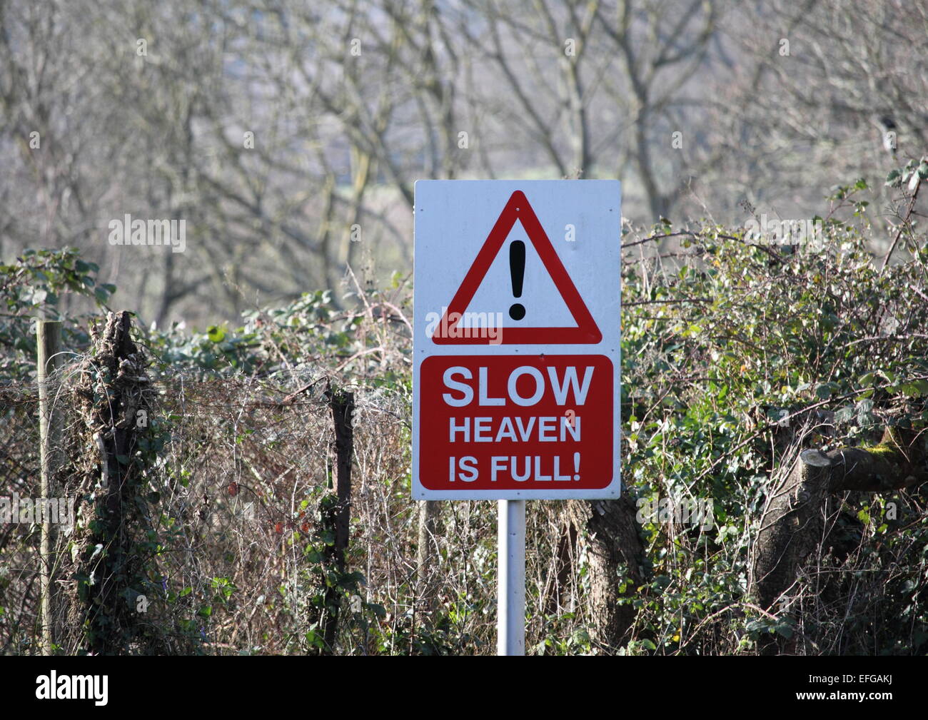 A funny road sign in Devon, England that is trying to make drivers slow down in the narrow country lane. Stock Photo