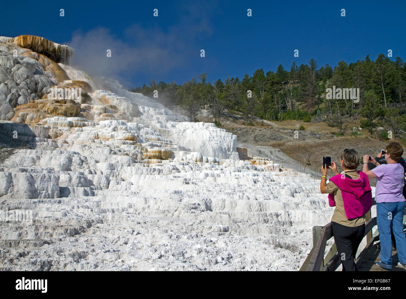 Mammoth Hot Springs flows over a hill of travertine in Yellowstone National Park, Wyoming, USA Stock Photo