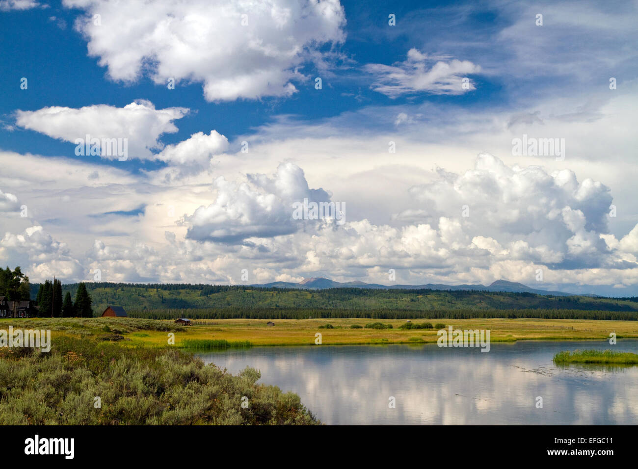 Harriman State Park located in the Greater Yellowstone Ecosystem in Eastern Idaho, USA. Stock Photo