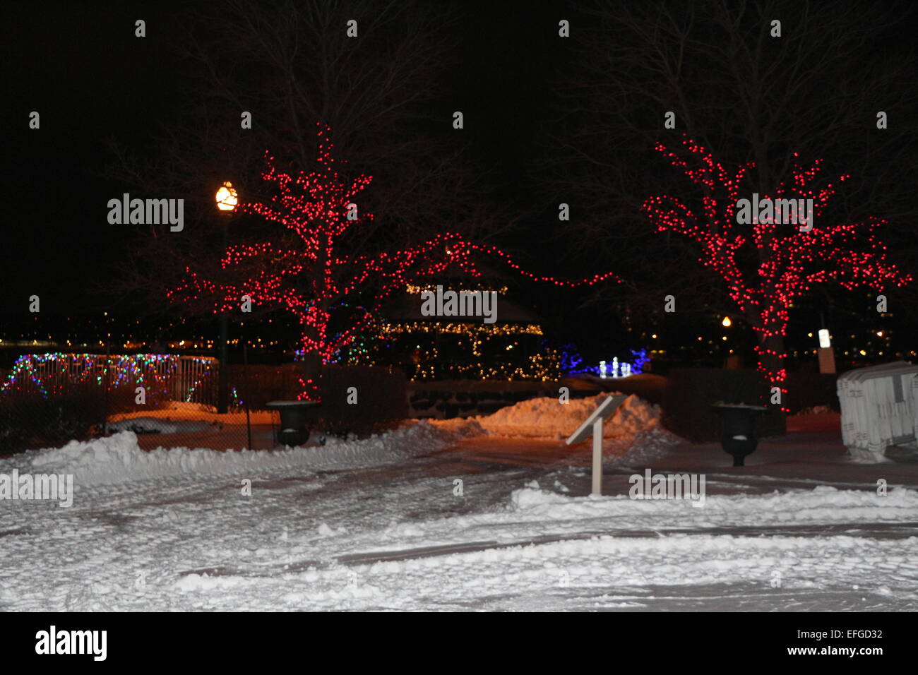 winter lights display on trees Stock Photo