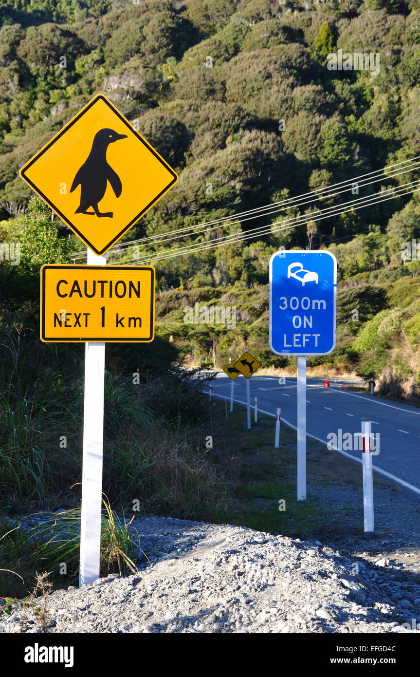 Road sign warning about penguins on the coast road, Westland, South Island, New Zealand Stock Photo