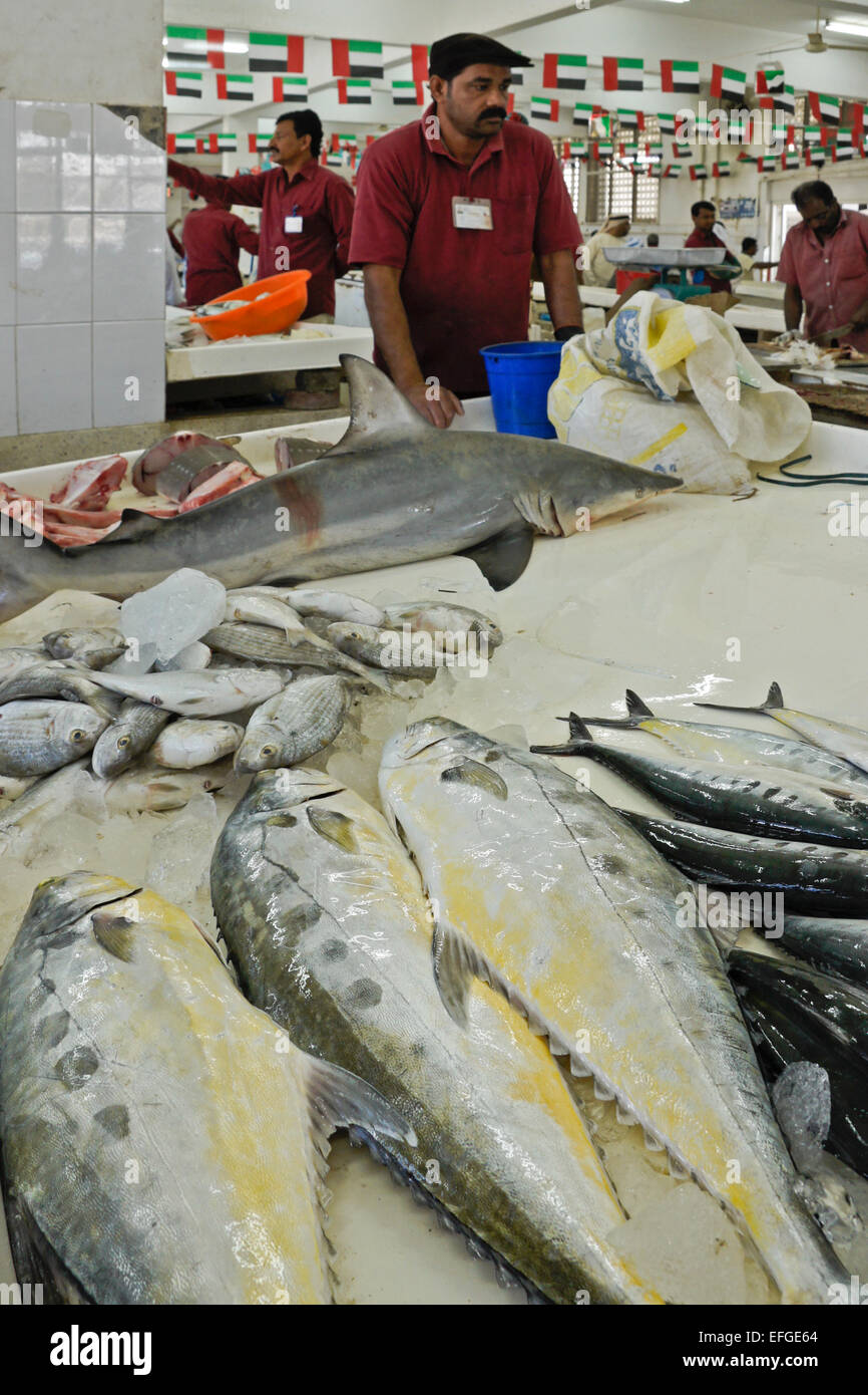 Fish market in Dibba Muhallab, Fujairah, United Arab Emirates Stock
