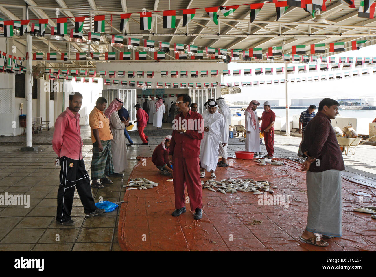 Fish market in Dibba Muhallab, Fujairah, United Arab Emirates Stock