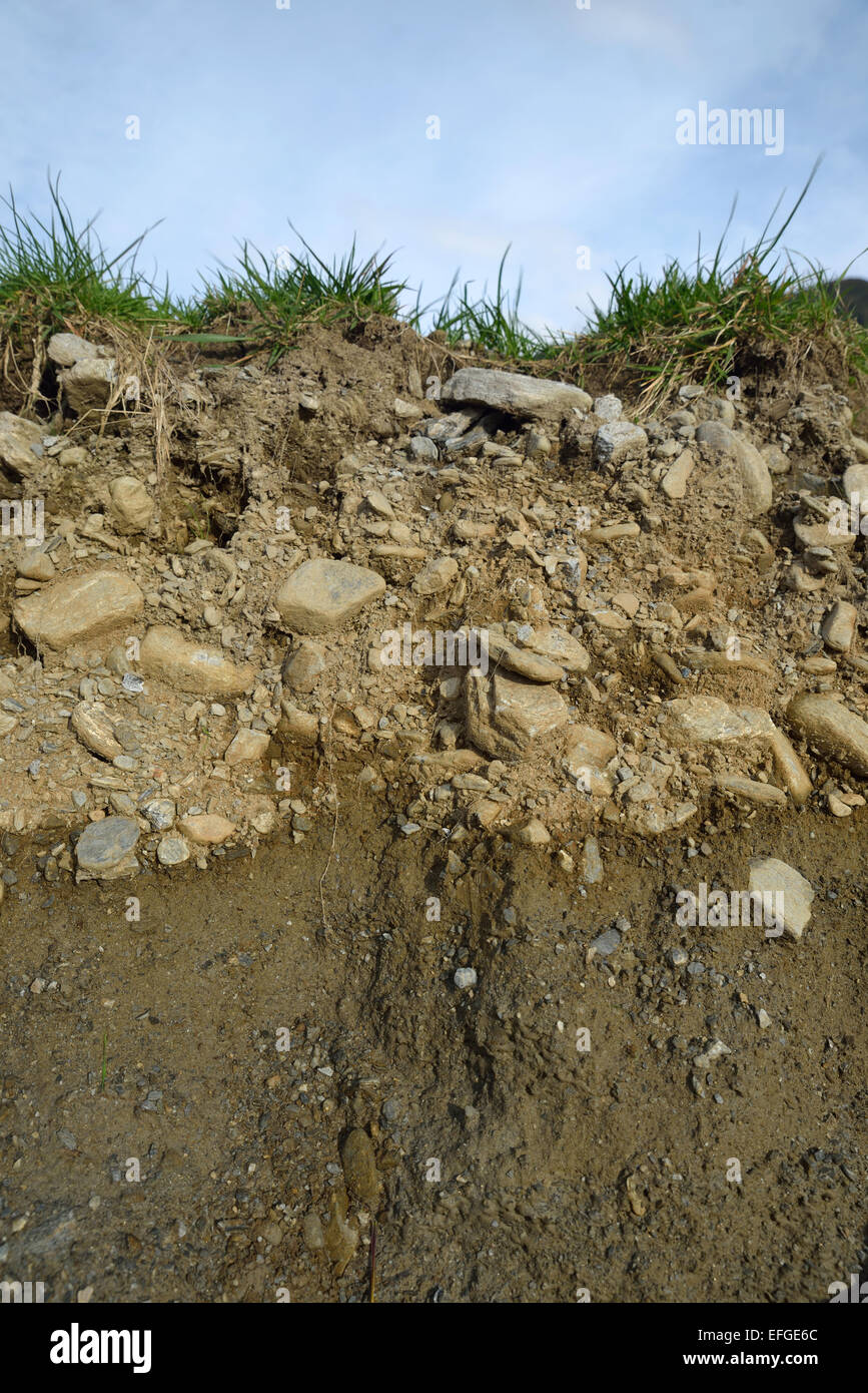 A soil profile showing grass, topsoil and subsoil in Westland, New Zealand Stock Photo