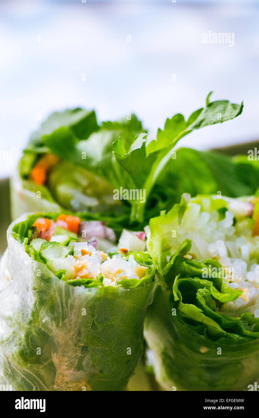 Vietnamese style wrapped spring rolls Stock Photo - Alamy