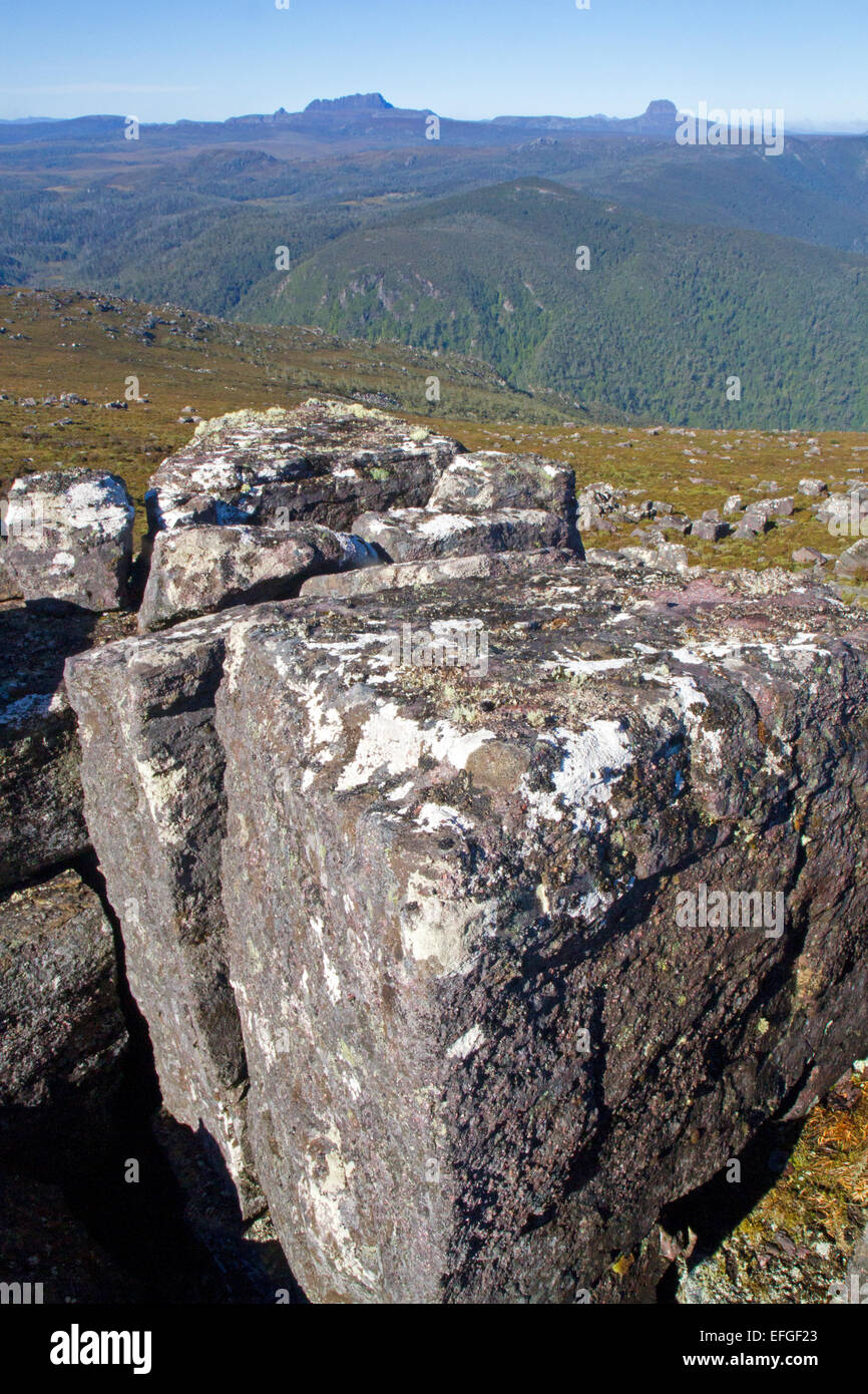 View to Cradle Mountain and Barn Bluff from Mt Beecroft in the Black