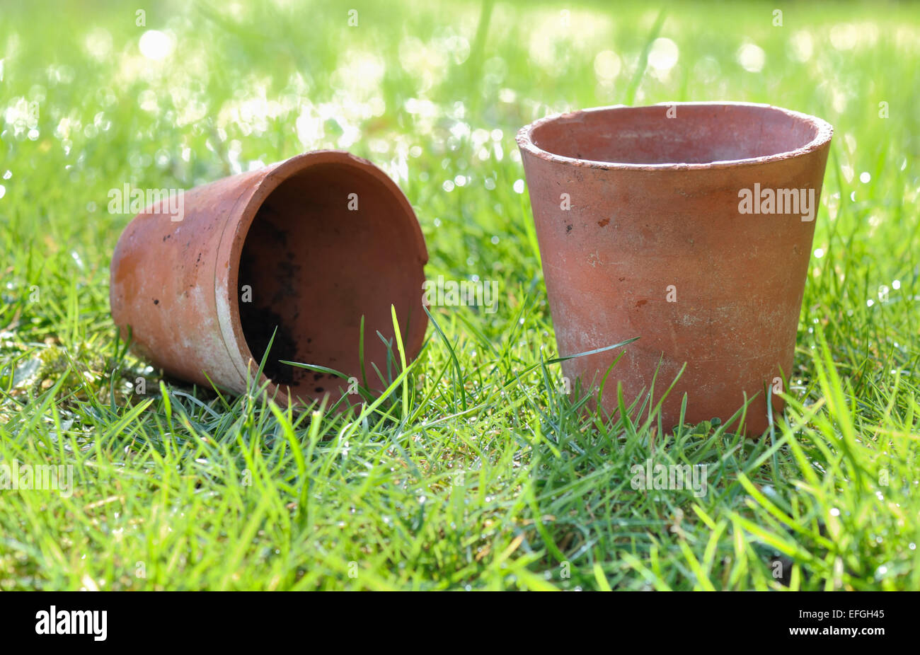 terracotta pots worn in the wet greenery grass Stock Photo Alamy