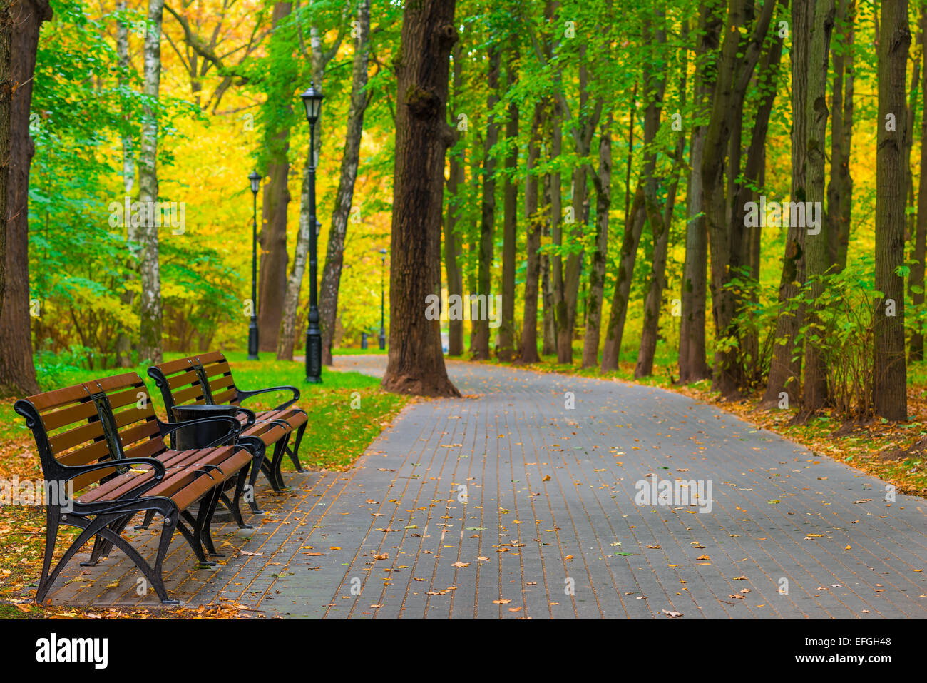 well maintained city park with benches and lanterns Stock Photo