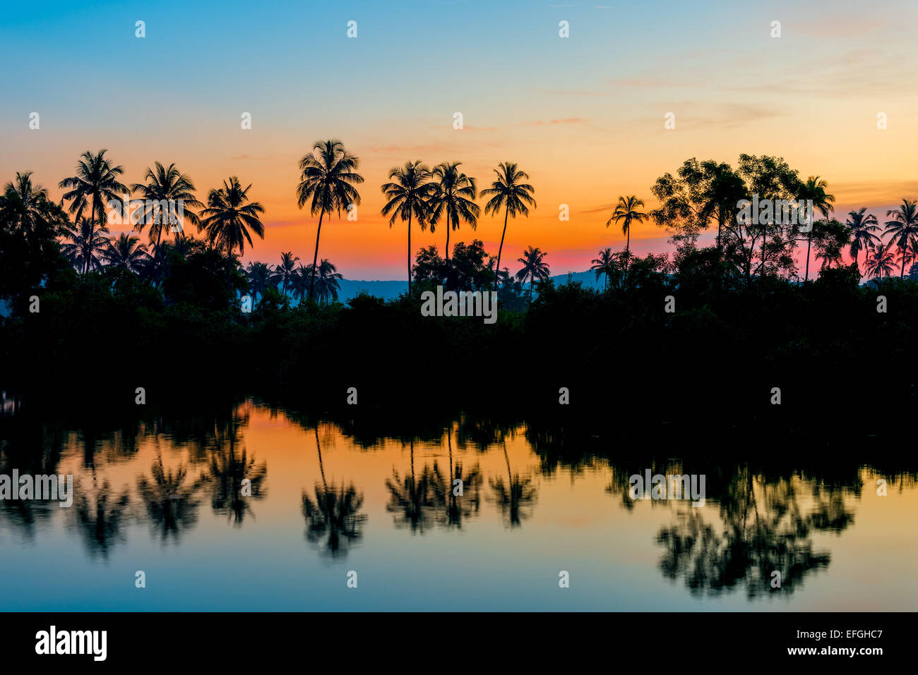 silhouettes of palm trees at dawn near a lake Stock Photo