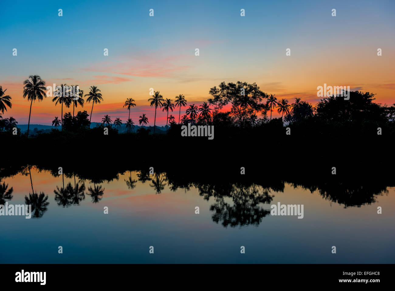 Beautiful in the tropics hi-res stock photography and images - Alamy