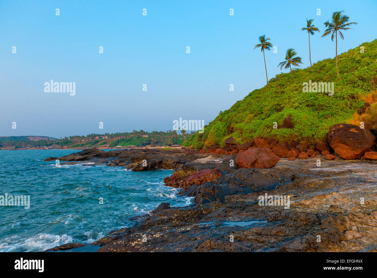 Tropical rocky beach coconut palm hi-res stock photography and images ...