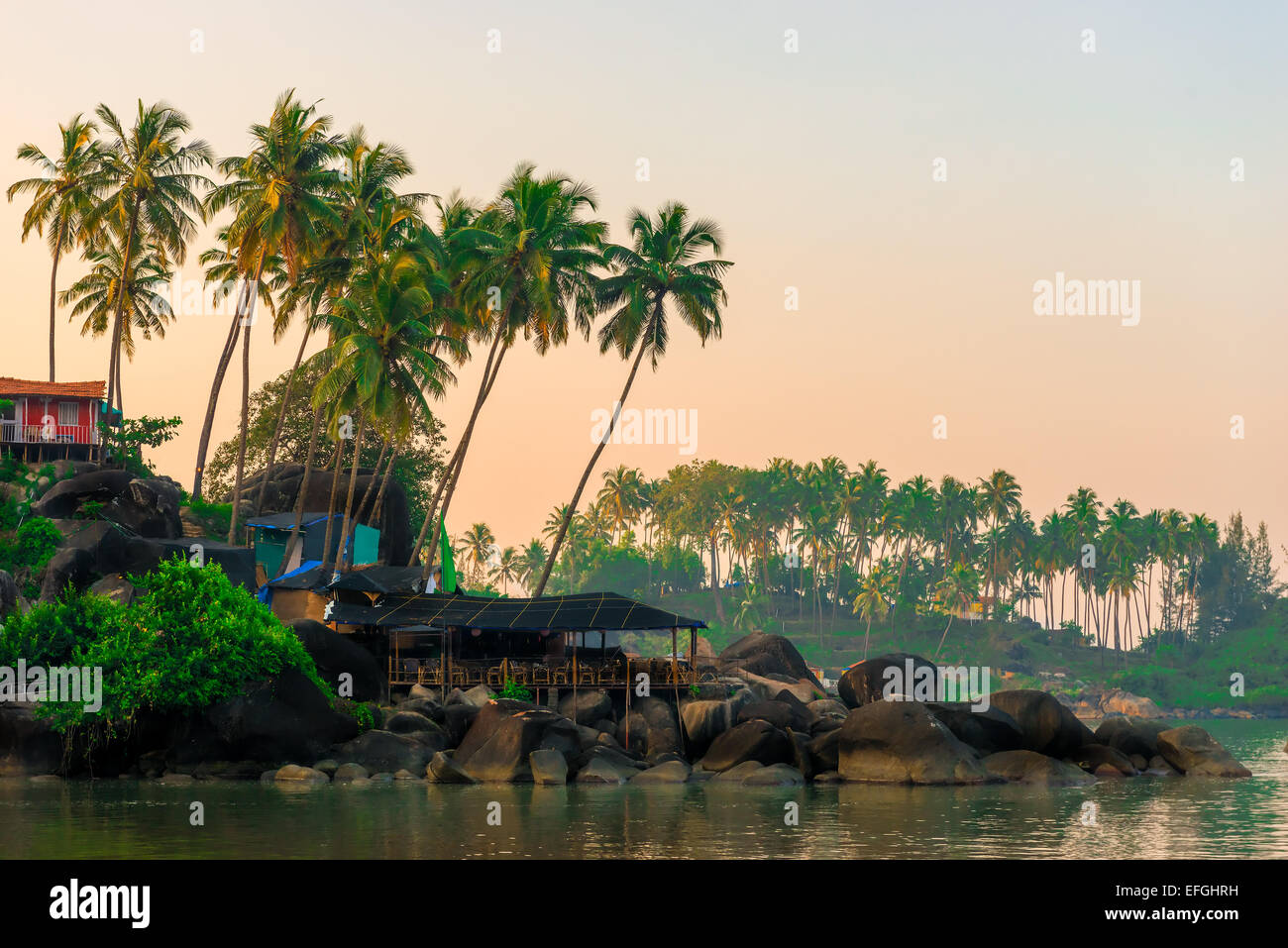 tall coconut palm trees and rocky shore Stock Photo