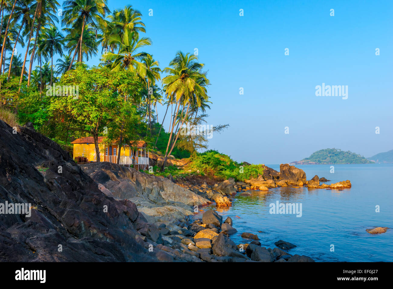 palm trees growing on the rocky shore in heavenly place Stock Photo