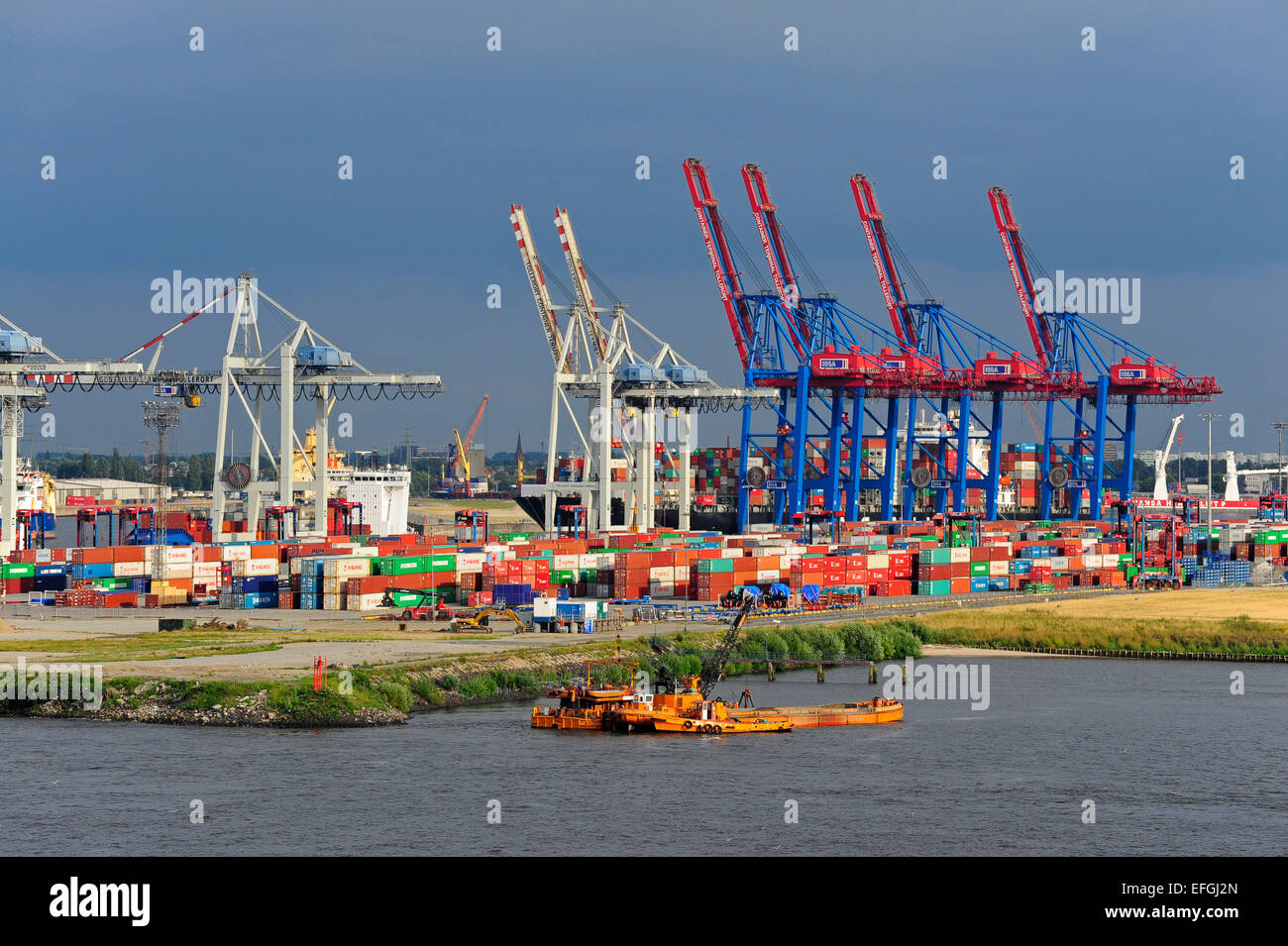Gantry cranes for container terminal Tollerort, Steinwerder, Hamburg harbor on the Elbe, Hamburg, Germany Stock Photo