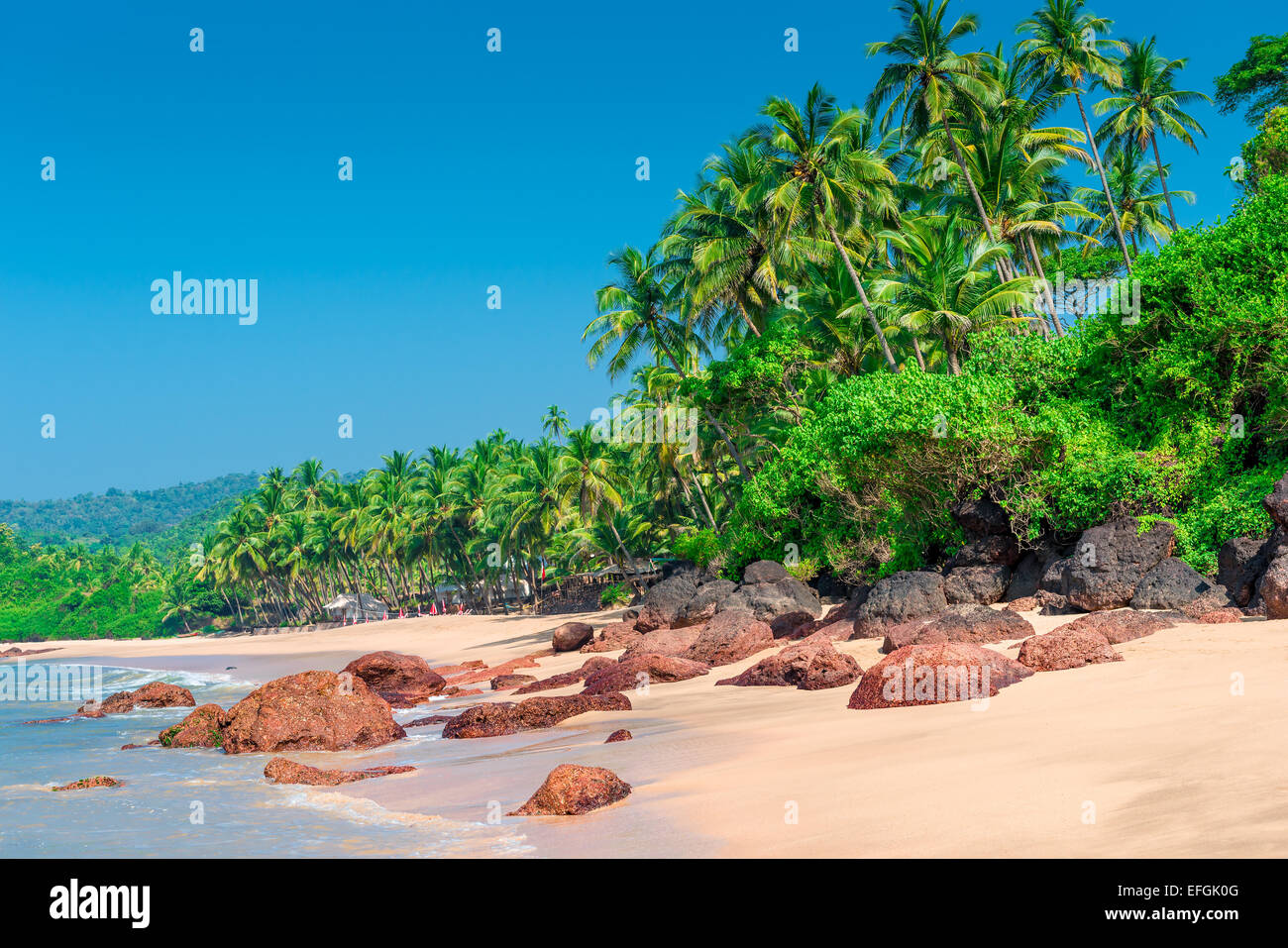 Hot tropical sun hi-res stock photography and images - Alamy