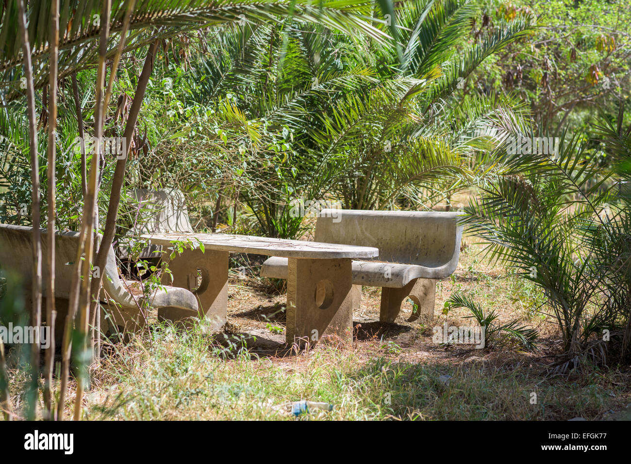 Deserted table under palm trees Stock Photo