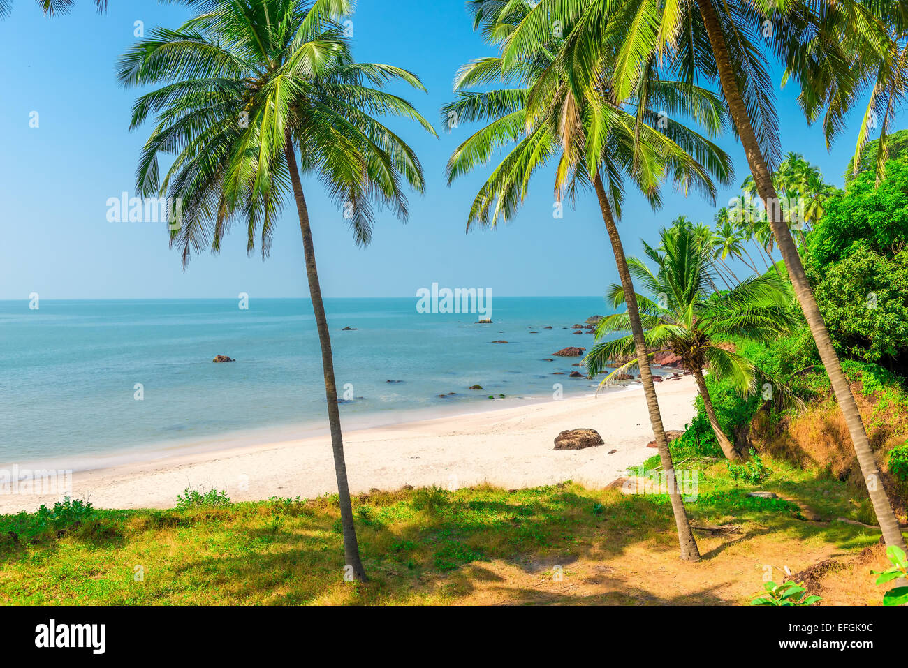 white sand beach and palm trees on a deserted island Stock Photo
