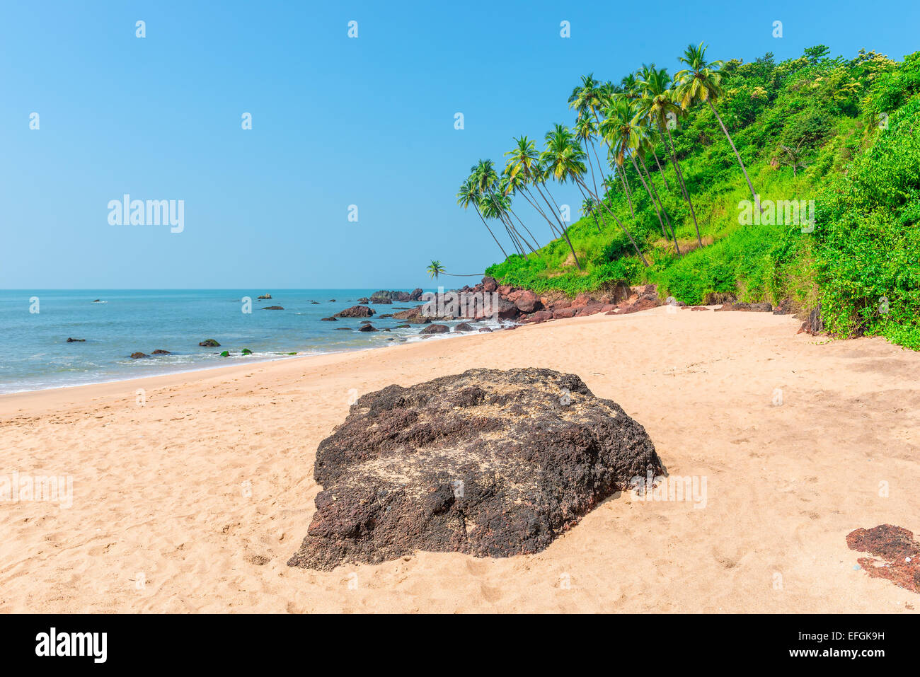 palm trees growing on a hill near the sea Stock Photo