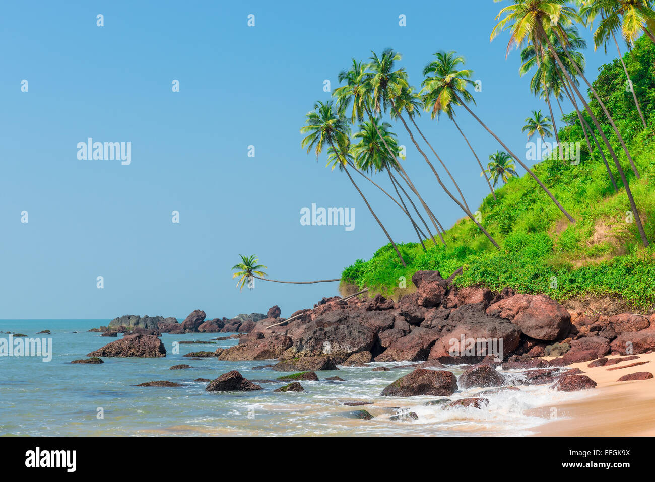 stones in the sea and palm trees on the hill Stock Photo