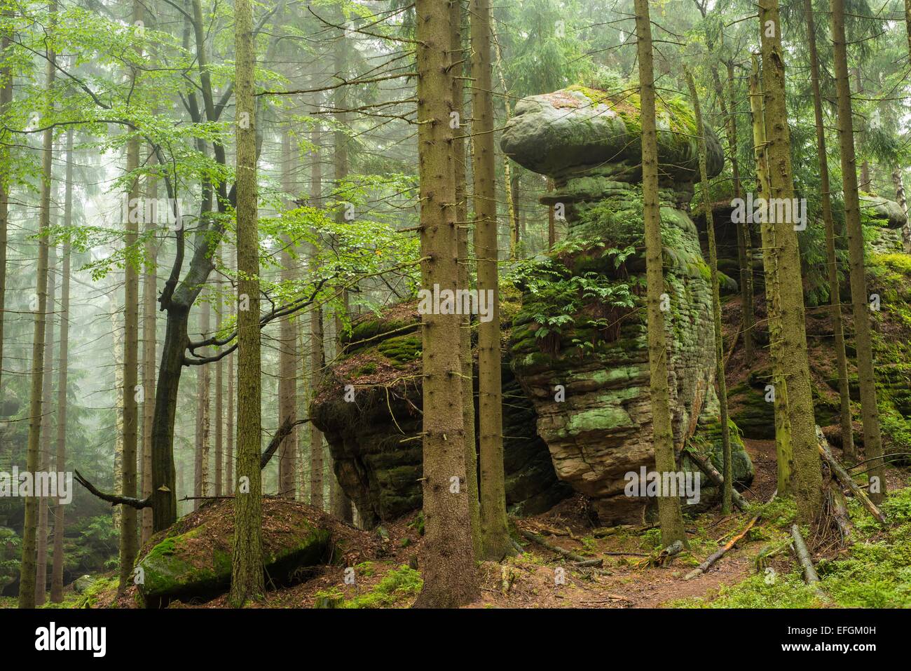 Small Forest Rocks Rock landscape trees hi-res stock photography and images - Alamy